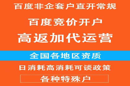 解析SEM代运营托管公司在市场竞争中的角色